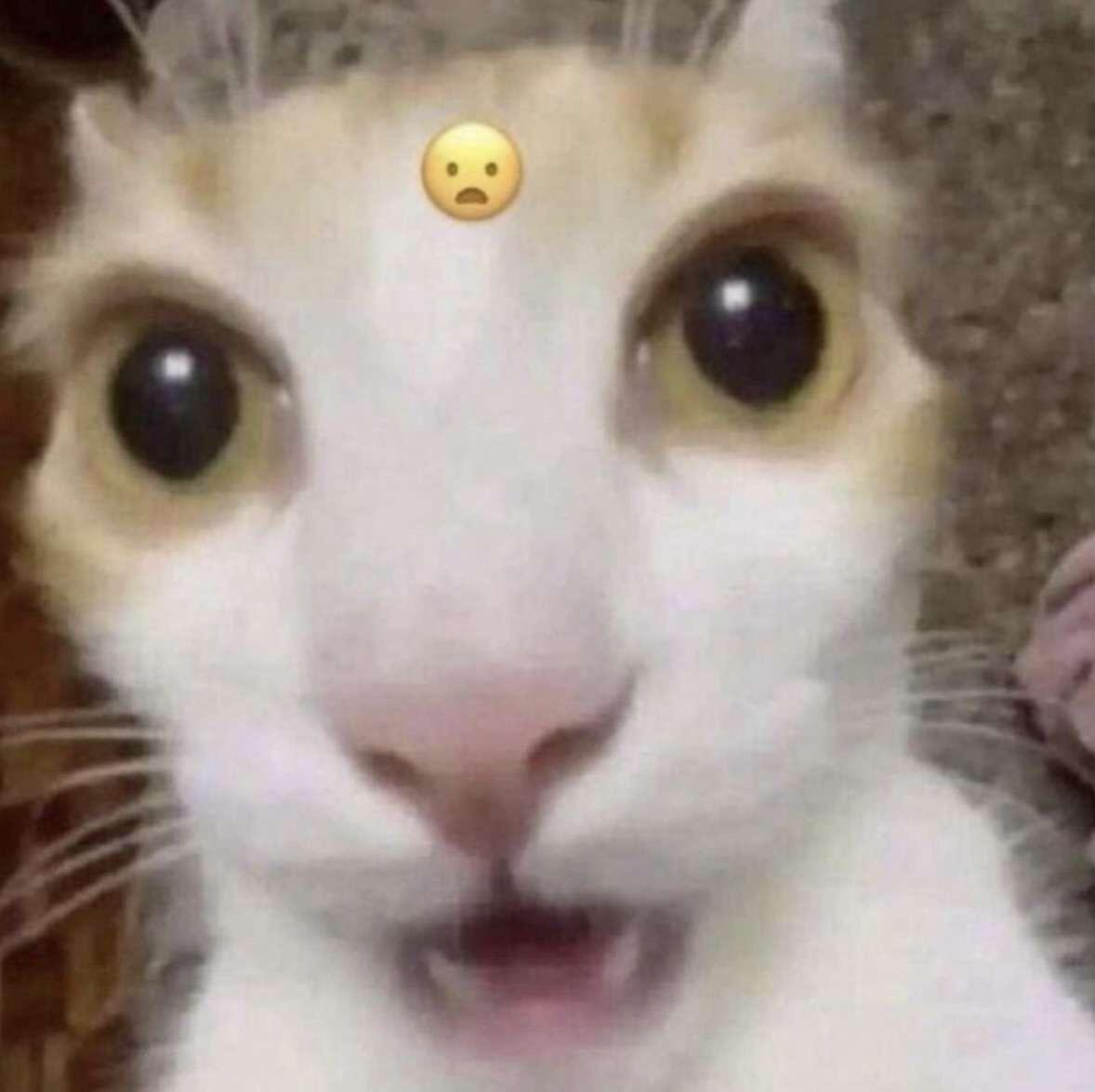 D: